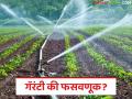 Drip Irrigation System :‘७ वर्षांची गॅरंटी’ ठरली फोल! ३ वर्षांत ठिबक निकामी; शेतकऱ्यांचे लाखोंचे नुकसान - Marathi News | latest news Drip Irrigation System: '7-year guarantee' turned out to be a failure! Drip system fails in 3 years; Farmers lose lakhs | Latest agriculture News at Lokmat.com
