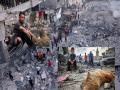 Israel-Hamas War: Crumbling buildings, mangled corpses, Gaza's ashes in Israel's attack, shocking visuals go viral! - Hindi News | Israel-Hamas War: Crumbling buildings, mangled corpses, Gaza's ashes in Israel's attack, shocking visuals go viral! | Latest international Photos at Lokmattimes.com