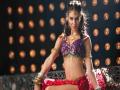 स्कार्लेट विल्सनचे आयटम साँग ह्या सिनेमात - Marathi News | Scarlet Wilson's Item Song in this movie | Latest filmy News at Lokmat.com