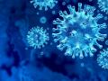 CoronaVirus : कोरोनातून बाहेर आलेल्या रुग्णालाही पुन्हा होऊ शकते लागण, अशी घ्या काळजी - Marathi News | CoronaVirus : How to take care of corona virus patients after discharge myb | Latest health Photos at Lokmat.com