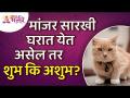 मांजर एकसारखी घरात येत असेल तर शुभ की अशुभ? Good or bad if cat is coming to the house again? - Marathi News | Good or bad if the cat is coming to the same house? Good or bad if cat is coming to the house again? | Latest bhakti Videos at Lokmat.com