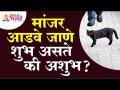 मांजर आडवे जाणे शुभ असते की अशुभ? Is it good or bad for a cat to lie down? - Marathi News | Is it auspicious or inauspicious for a cat to lie down? Is it good or bad for a cat to lie down? | Latest bhakti Videos at Lokmat.com