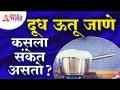 दूध ऊतू जाणे हा कसला संकेत असतो? Overwhelmed of Milk what does it's signify? Lokmat Bhakti - Marathi News | What is the sign of oozing milk? Overwhelmed of Milk what does it's signify? Lokmat Bhakti | Latest bhakti Videos at Lokmat.com
