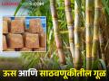 साठवणूकीत गूळ खराब होवू नये म्हणून कसे करावे ऊस पिक व्यवस्थापन - Marathi News | How to do sugarcane crop management to avoid spoilage of jaggery during storage | Latest agriculture News at Lokmat.com