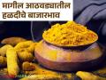 Halad Bajarbhav : हळदीला अच्छे दिन, पुढील सहा वर्षे बाजारभावात लक्षणीय वाढीची अपेक्षा, वाचा सविस्तर  - Marathi News | Latest News Halad Bajarbhav Expected significant increase in market price for next six years, read in detail  | Latest agriculture News at Lokmat.com