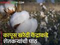 शेतकऱ्यांना कापसाच्या दरवाढीची प्रतीक्षा, खरेदी केंद्रावर शुकशुकाट - Marathi News | Farmers waiting for cotton price hike, shopping centers are busy | Latest agriculture News at Lokmat.com