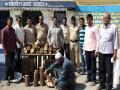 भोकरदन तालुक्यात १ लाख ४५ हजाराचे चंदन जप्त  - Marathi News | 1 lakh 45 thousand sandalwood seized in Bhokardan taluka | Latest jalana News at Lokmat.com