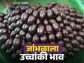 मधुमेहाच्या रुग्णांसाठी गुणकारी असलेल्या जांभळांना उच्चांकी भाव; वाचा प्रतिकिलो काय मिळतोय दर? - Marathi News | High prices for jamun, which are beneficial for diabetic patients; Read what is the price per kg? | Latest agriculture News at Lokmat.com