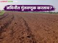 जमीन गुंतवणूकीत अधिक परतावा हवा असेल तर खरेदी करताना 'ह्या' चार बाबी अवश्य पहा - Marathi News | If you want a higher return on your investment in land, then you must consider these four things while buying it | Latest agriculture News at Lokmat.com
