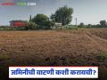 जमिनीची वाटणी म्हणजे खातेवाटप कसे करायचे, हरकत असल्यास काय करावे? वाचा सविस्तर  - Marathi News | Latest News jamin khate vatap satbara How to divided Land see details | Latest agriculture News at Lokmat.com