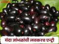 जांभळं महिनाभर आधीच आली बाजारात; कसा मिळतोय बाजारभाव - Marathi News | Purple has already been in the market for a month; How is the market price? | Latest agriculture News at Lokmat.com