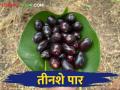 एक किलो जांभळाला मिळतोय इतका दर - Marathi News | one kilo jamun get how much market price | Latest agriculture News at Lokmat.com