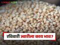 Wheat And Jwari Market : हिवाळ्यात गव्हापेक्षा वाढली ज्वारीची श्रीमंती, जाणून घ्या सविस्तर  - Marathi News | Latest News Jwari Bajarbhav Sorghum has better market price than wheat crop know the details | Latest agriculture News at Lokmat.com