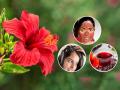 जास्वंदाचे फुल वापरण्याच्या ५ योग्य पद्धती, केस - त्वचा - आरोग्य सगळंच राहील मस्त , घरगुती औषध ... - Marathi News | 5 ways to use Hibiscus flower, good for health, skin and hair, home remedies for health | Latest sakhi Photos at Lokmat.com