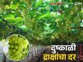 जत पूर्वभागातील द्राक्ष बागायतदारांपुढे मोठे संकट; दर परवडेना - Marathi News | Grape growers in eastern region of jat taluka face major crisis; Can't afford the market rate | Latest agriculture News at Lokmat.com