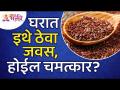 जवस घरात कुठे ठेवल्याने चमत्कार होईल? Health benefits of linseeds | Vastushastra Tips For Javas - Marathi News | Where to put linseed in the house will be a miracle? Health benefits of linseeds | Vastushastra Tips For Javas | Latest bhakti Videos at Lokmat.com