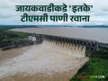 Jayakwadi Dam : आतापर्यंत नाशिकहून 34 टीएमसी पाणी सोडले, जायकवाडी किती भरलं?  - Marathi News | Latest News Jayakwadi Dam 34 tmc of water discharged from Nashik gangapur dam | Latest agriculture News at Lokmat.com