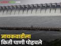Jayakwadi Dam : जायकवाडीत 77 टीएमसी पाणी जमा, नाशिकहून किती क्युसेक पाणी गेले? - Marathi News | Latest news Maharashtra dam Storage 77 TMC of water accumulated in Jayakwadi from nashik dams | Latest agriculture News at Lokmat.com