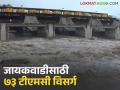 नाशिकच्या धरणांनी महिनाभर आधीच गाठली शंभरी, जायकवाडीला किती पाणी गेले?  - Marathi News | Latest news Gangapur dam Nashik's dams fulfill and more water gone to jayakwadi dam | Latest agriculture News at Lokmat.com
