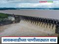 Jayakawadi Dam Water: शेतकऱ्यांसाठी आनंदाची बातमी; जायकवाडी धरणात वेळेआधी पाणी वाचा सविस्तर - Marathi News | latest news Jayakawadi Dam Water: Good news for farmers; Read water in Jayakawadi Dam ahead of time in detail | Latest agriculture News at Lokmat.com