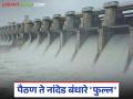 Jayakwadi Dam Water Discharge: जायकवाडीतून विसर्गाचा लाभ; पैठण ते नांदेडपर्यंत सर्व बंधारे भरले - Marathi News | latest news Jayakwadi Dam Water Discharge; Benefit of discharge from Jayakwadi: All dams from Paithan to Nanded filled | Latest agriculture News at Lokmat.com