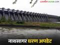 Jayakwadi Dam : पावसाने दिला दिलासा! जायकवाडी धरणात जलसाठा वाढतोय वाचा सविस्तर - Marathi News | latest news Jayakwadi Dam: Rains provide relief! Water level in Jayakwadi Dam is increasing, read in detail | Latest agriculture News at Lokmat.com