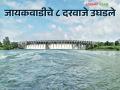 मराठवाड्यात ४० मंडळांत अतिवृष्टी पिकांचे नुकसान; जायकवाडीचे आणखी ८ दरवाजे उघडले - Marathi News | Heavy rain crop damage in 40 mandals in Marathwada; 8 more doors of Jayakwadi opened | Latest agriculture News at Lokmat.com