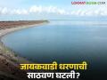 Jayakawadi Dam : जायकवाडी साठवण क्षमतेत मोठी घट; काय आहे कारण वाचा सविस्तर - Marathi News | latest news Jayakawadi Dam: Major reduction in Jayakwadi storage capacity; What is the reason? Read in detail | Latest agriculture News at Lokmat.com