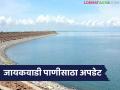 Jayakwadi Dam Water Update : जायकवाडी दिलासादायक पातळीवर; तरीही 'सेव्ह वॉटर'चा अलर्ट वाचा सविस्तर - Marathi News | latest news Jayakwadi Dam Water Update : Jayakwadi at a comforting level; Still 'Save Water' alert Read in detail | Latest agriculture News at Lokmat.com