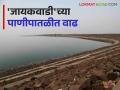 Jayakwadi Dam Water Update : 'जायकवाडी'च्या पाणीपातळीत ५ टक्के वाढ - Marathi News | Jayakwadi Dam Water Update: 5 percent increase in the water level of Jayakwadi | Latest agriculture News at Lokmat.com