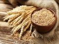 आज राज्यात गव्हाला कसा मिळतोय बाजारभाव? पणन विभागाने केले जाहीर - Marathi News | How is the market price of wheat in the state today? It was announced by the Marketing Department | Latest agriculture News at Lokmat.com