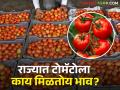 Tomato Market: टोमॅटोला मिळतोय असा बाजारभाव, आज राज्यात २५५१ क्विंटल टोमॅटोची आवक - Marathi News | | Latest agriculture News at Lokmat.com