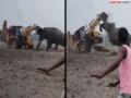 अबब! संतापलेला गजराज थेट JCB ला भिडला, अशी टक्कर दिली की...पाहा Video - Marathi News | JCB vs Elephant angry Elephant collided with JCB, Watch Video | Latest social-viral News at Lokmat.com