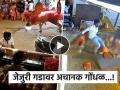 बैल अचानक उधळला अन् जेजुरी गडावर एकच गोंधळ! नेमकं काय घडलं? पाहा व्हिडीओ - Marathi News | jejuri khandoba video Bull racing broke out at Jejuri fort, devotees fled; The entire incident was captured on CCTV | Latest pune News at Lokmat.com