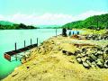 खारफुटीची कत्तल करून जेट्टीचे बांधकाम - Marathi News | Construction of jetty by slaughtering mudslide | Latest raigad News at Lokmat.com