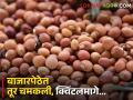 Pigeon Pie: बाजारपेठेत तूरीला झळाळी, क्विंटलमागे मिळतोय असा भाव - Marathi News | | Latest agriculture News at Lokmat.com