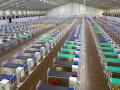जम्बो कोविड केंद्रात पाचशे खाटा वाढविणार - Marathi News | CoronaVirus: will add 500 beds to the Jumbo Covid center | Latest mumbai News at Lokmat.com