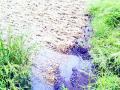 किन्हवलीत कापलेली रोपे पावसात भिजली; शेतकरी हवालदिल - Marathi News | The seedlings sown in Kinhwali were soaked in rain | Latest thane News at Lokmat.com