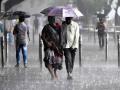 देशात यंदा ९४.४% पाऊस : भारतीय हवामान विभाग - Marathi News | 94% rainfall in the country this year: Indian Meteorological Department | Latest agriculture News at Lokmat.com