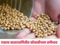Soybean: आज एकाच बाजार समितीत सोयाबीनला हमीभावाहून अधिक दर मिळतोय - Marathi News | | Latest agriculture News at Lokmat.com