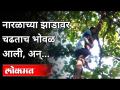 ऐका एका अनोख्या रेस्क्यू ऑपरशनची कथा | The youth fell unconscious on the Tree | Thane - Marathi News | Listen to the story of a unique rescue operation The youth fell unconscious on the Tree | Thane | Latest mumbai Videos at Lokmat.com