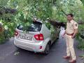धावत्या चारचाकी वाहनावर झाड कोसळले, चार जण जखमी - Marathi News | four people were injured as a tree fell on a running car | Latest bhandara News at Lokmat.com
