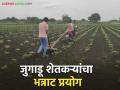 Farmer Jugaad : नवा मार्ग, नवा जुगाड; सूर्यवंशी बंधूंनी दुचाकीवर केली आंतरमशागत वाचा सविस्तर - Marathi News | latest news Farmer Jugaad: New path, new jugaad; Suryavanshi brothers do inter-cultivation on a bike Read in detail | Latest agriculture News at Lokmat.com