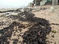 जुहू बीचवर मोठ्या प्रमाणात वाहून आले ऑइल टार बॉल - Marathi News | Oil tar balls widely in Juhu beach | Latest mumbai News at Lokmat.com