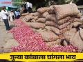 Kanda Bajar Bhav : केडगाव बाजार समितीत कांद्याचे भाव वाढले नव्या कांद्याला कसा मिळतोय दर - Marathi News | Kanda Bajar Bhav : Onion prices increased in Kedgaon market How is the price of new onions getting? | Latest agriculture News at Lokmat.com