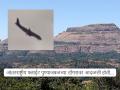 अजित पवारांच्या विमान अपघाताने जुन्नरच्या आठवणी ताज्या! ६३ वर्षांपूर्वी झालेला भीषण विमान अपघात, ९४ जण होते... - Marathi News | Junnar Nimgiri Plane Crash 1962: Ajit Pawar's plane crash brings back memories of Junnar! A terrible plane crash that happened 63 years ago, there were 94 people... | Latest pune Photos at Lokmat.com