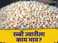 Sorghum Market : शेवगाव बाजार समितीत ज्वारीला काय भाव मिळाला? वाचा आजचे बाजारभाव - Marathi News | Latest news 19 may 2024 todays sorghum market price in market yards check here | Latest agriculture News at Lokmat.com