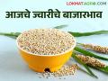 दादर ज्वारीची पिछाडी, मालदांडी ज्वारीने खाल्ला भाव, जाणून घ्या आजचे दर  - Marathi News | Latest News Todays Sorghum market price in maharashtra bajar samiti | Latest agriculture News at Lokmat.com