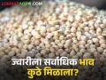 Sorghum Market : मालदांडी ज्वारीचा दबदबा कायम, कुठल्या ज्वारीला काय भाव मिळाला? वाचा सविस्तर  - Marathi News | latest News today maldandi sorghum market price top in pune market yard see details | Latest agriculture News at Lokmat.com