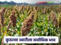 Sorghum Market : आज ज्वारीला क्विंटलमागे काय भाव मिळाला, वाचा आजचे सविस्तर दर  - Marathi News | Latest News Todays Sorghum Market Price In maharashtra Market Yards | Latest agriculture News at Lokmat.com